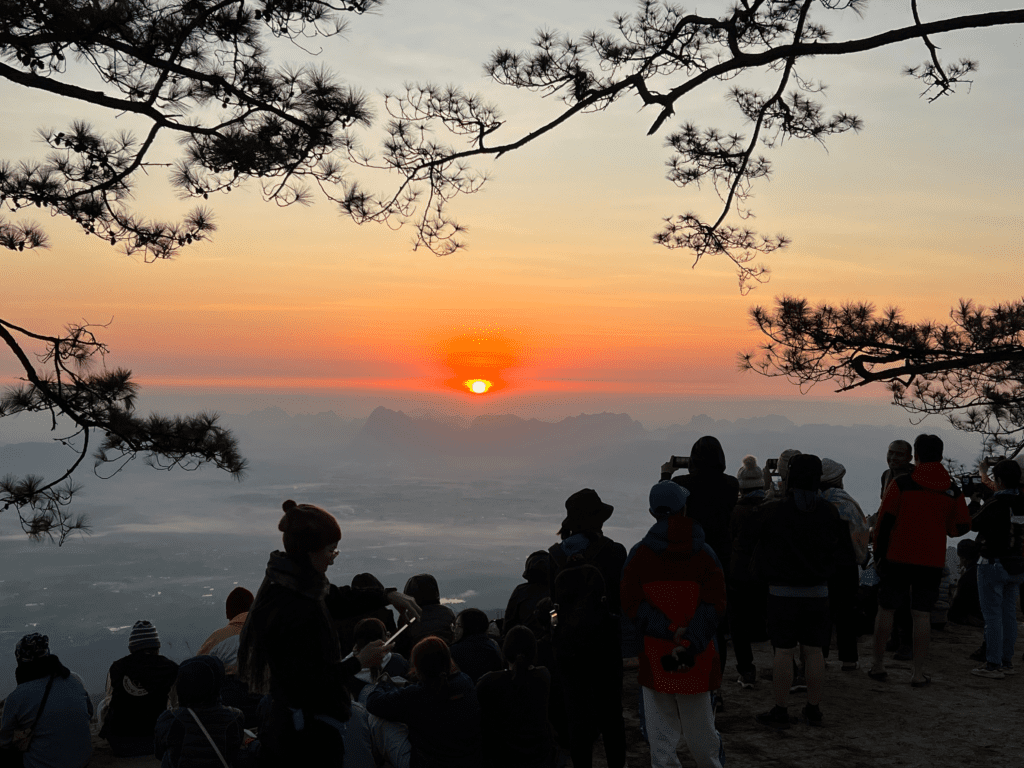 A group of people gathered at a viewpoint on Phu Kradueng mountain, Thailand, watching a breathtaking sunrise over distant mountain peaks, framed by pine tree branches.