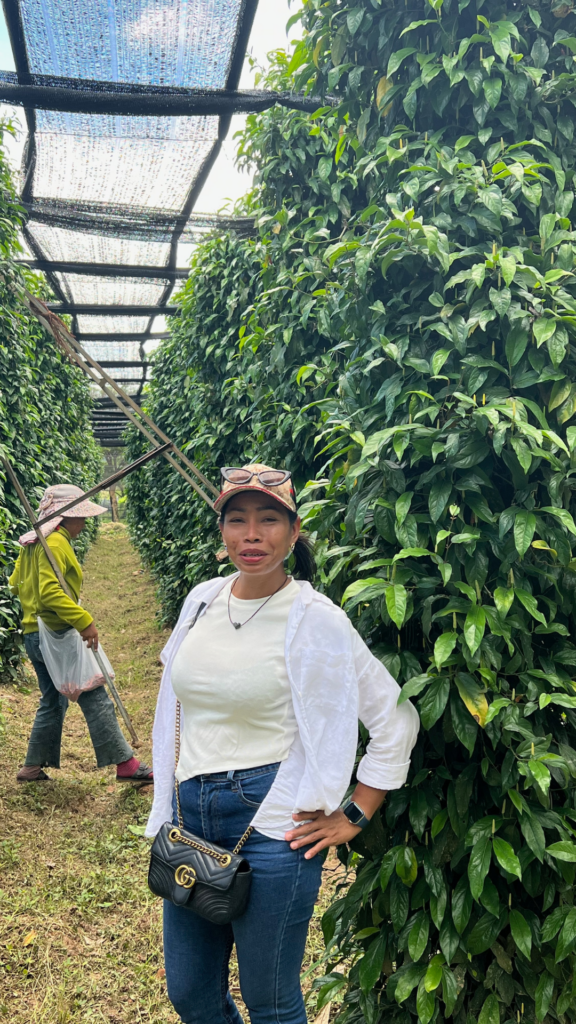 Tourist standing in a lush green Kampot pepper farm at La Plantation, Cambodia, surrounded by towering pepper vines.