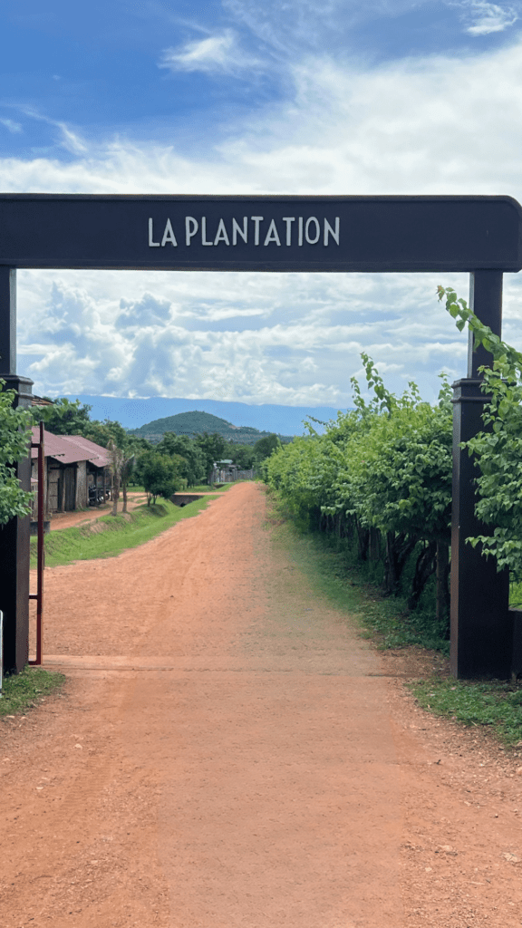 Sign reading "La Plantation" at the entrance of Kampot’s famous pepper farm, with a dirt road leading to lush green fields.