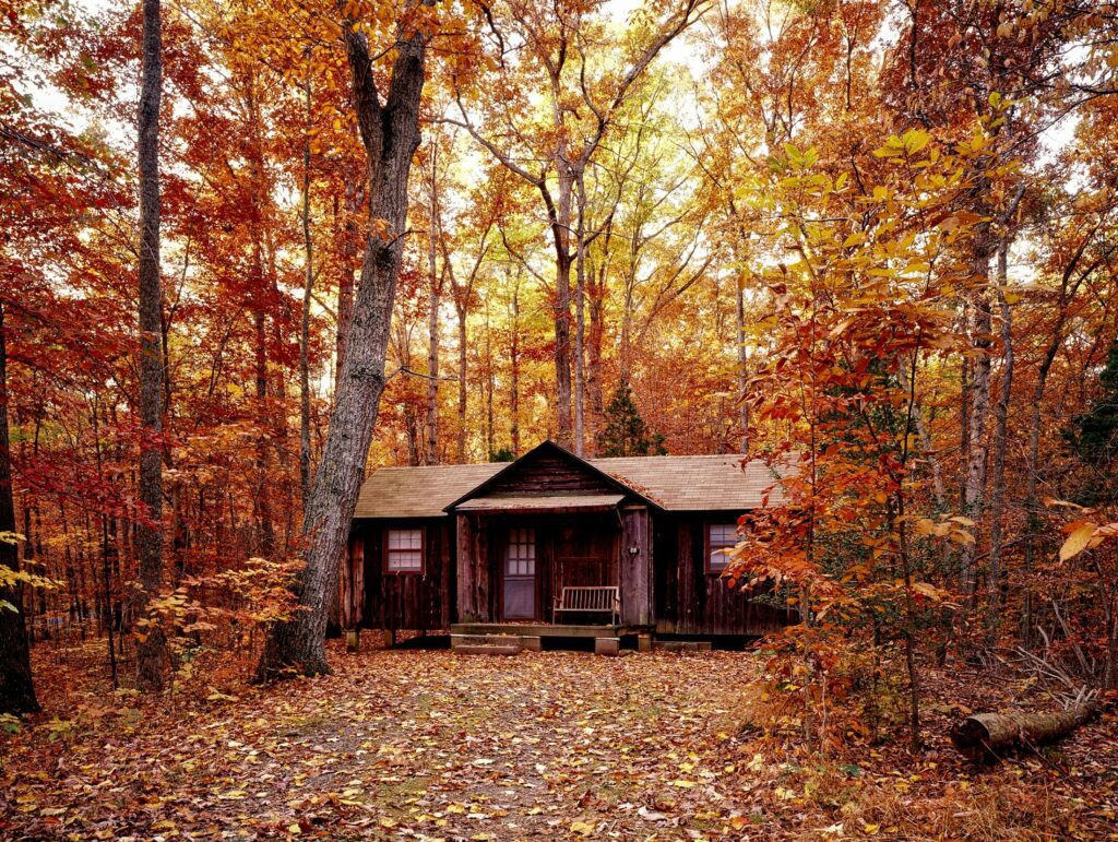 Rustic wooden cabin surrounded by golden autumn foliage in a serene forest setting.